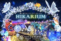 約100万球の幻想的なイルミネーション！関西最大級の自然派イルミネーション「HIKARIUM2025」が10月10日から開催