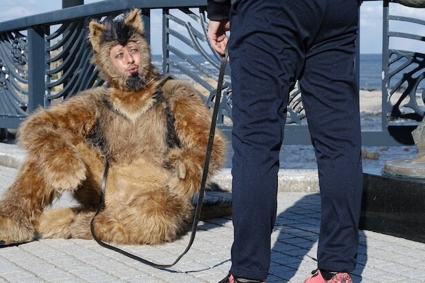 【写真】脚本・監督・編集を務め、一平(池松壮亮)から犬の着ぐるみを着たおじさんの姿に見えてしまう警察犬オリバーを演じたオダギリジョー