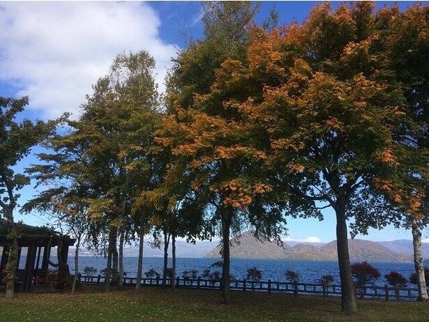 湖畔沿いから眺める紅葉が見ものだ/洞爺湖周辺の紅葉