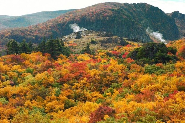 栗駒山の絶景に紅葉がさらに彩を加える/栗駒山(岩手県)の紅葉