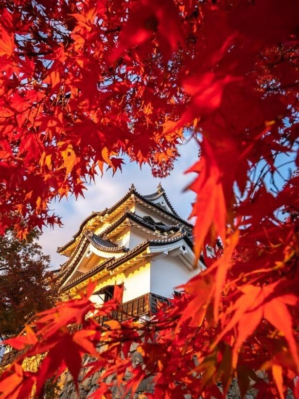 国宝彦根城・名勝玄宮楽々園の紅葉