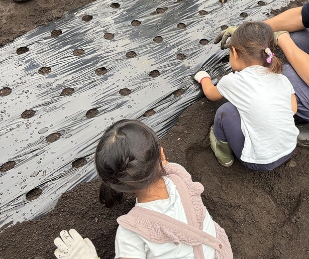 「ファーマーズレッスン」の様子。この日はニンニクの植え付けを体験。収穫できるのは翌年の6月ごろだそう