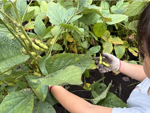 農作業後には、収穫体験もできる