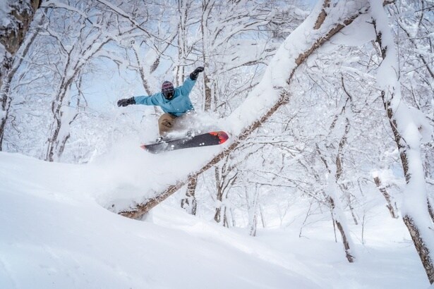 【写真】待望のツリーランゾーンが今年からオープン