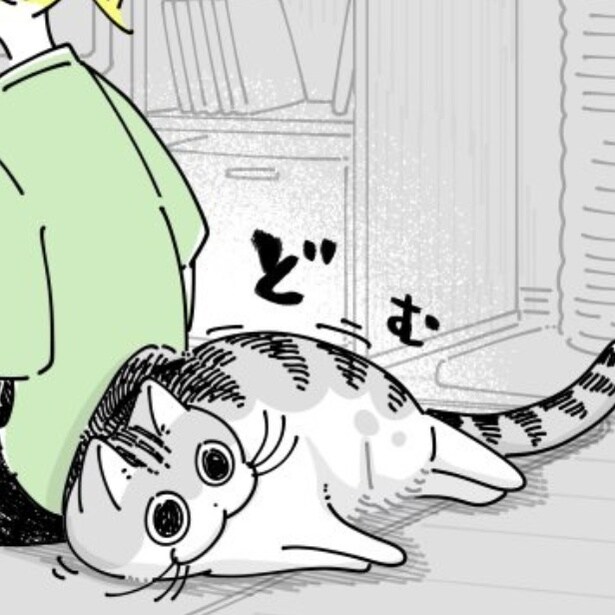 飼い主の背中に寄りかかる猫