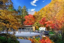 氷上で紅葉と光が共演!?「紅葉ライトアップ」が新登場、軽井沢星野エリアに森のスケート場「ケラ池スケートリンク」がオープン