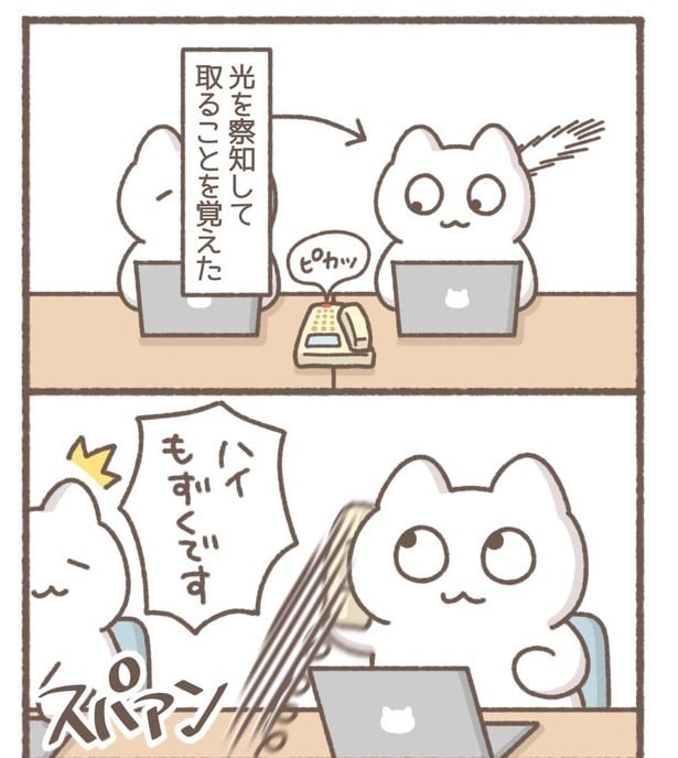 毎日がんばって6-3