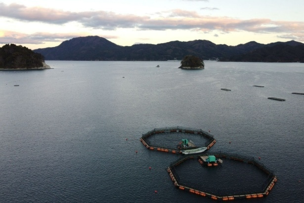 山田湾風景。親潮と黒潮が交わる世界有数の漁場・三陸沖