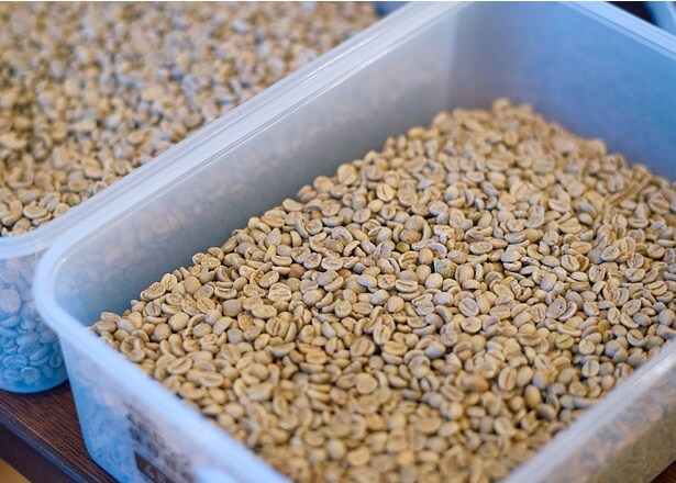 手間はかかるが、その分品質を確保することが優先と考え、生豆のハンドピックを行っている