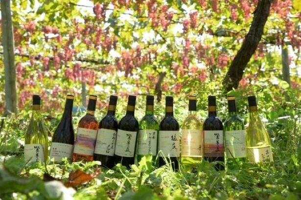 ワインを片手にペアリングを学べるミニセミナー