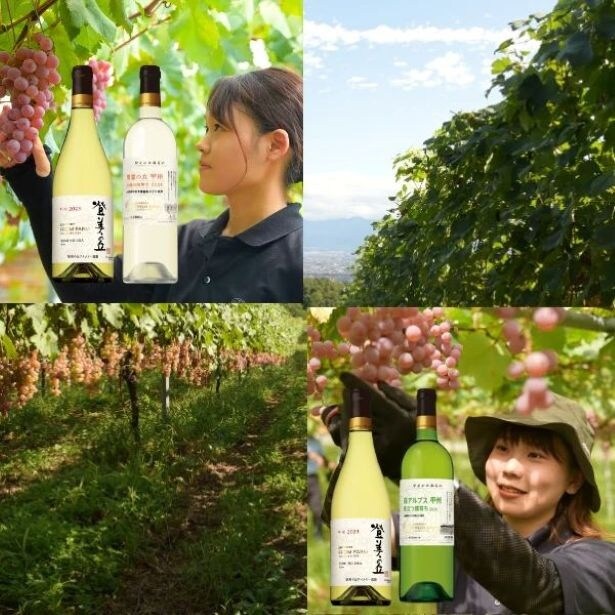 普段は豊富・南アルプスの圃場を担当する造り手が甲州ぶどうづくりを紹介