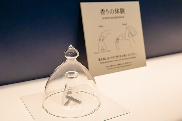 来場者は、ガラスの蓋を取り、蓋の内部にこもった香りを楽しむことができる。多くの人を魅了した蘭奢待の香りを会場で確かめよう
