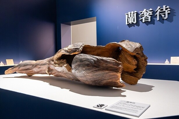 各時代の権力者も虜にした伝説の香木「蘭奢待」。ここに展示されているレプリカは、NHKの大河ドラマ『麒麟がくる』で使用された小道具