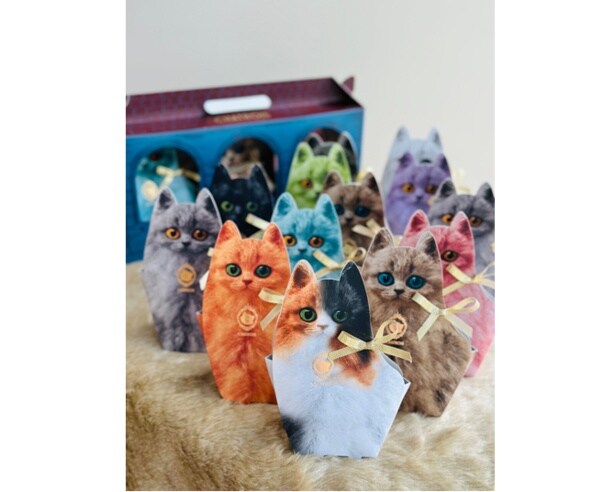 チョコレート×猫が最強なワケは？