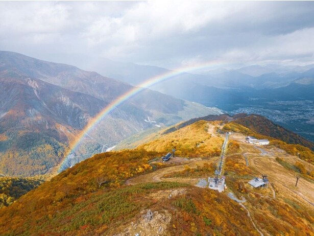 鮮やかに染まる山々を見られる / 白馬五竜アルプス平の紅葉