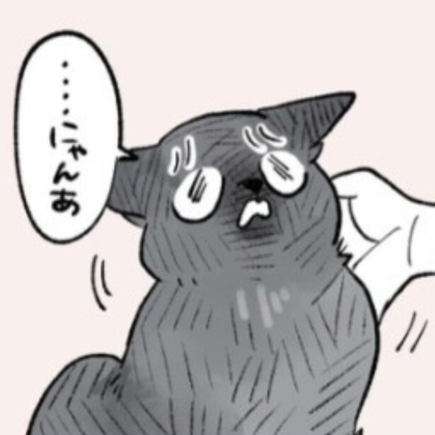 ワクチンを怖がる猫