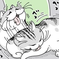 【ネコ漫画】愛猫の毛づくろいに圧倒される飼い主!?その姿に「豪快な毛づくろい」などの共感コメントがSNSで多数
