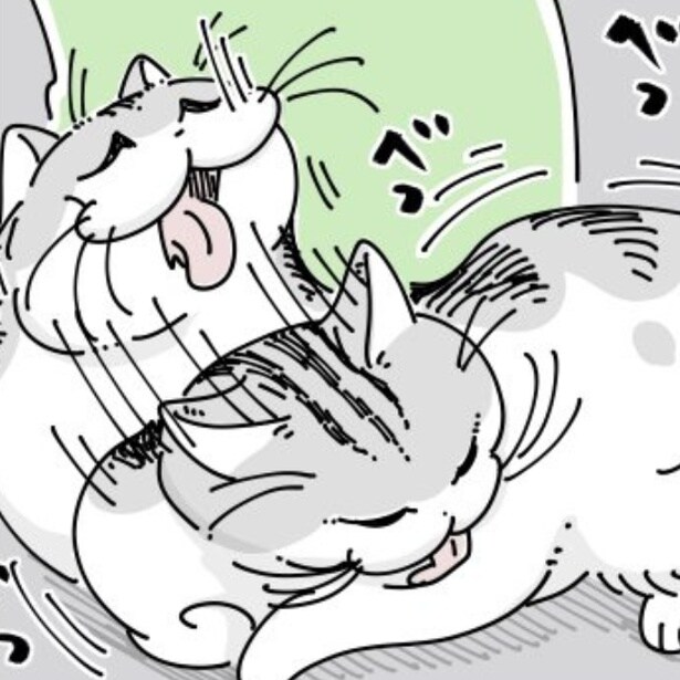 【ネコ漫画】愛猫の毛づくろいに圧倒される飼い主!?その姿に「豪快な毛づくろい」などの共感コメントがSNSで多数