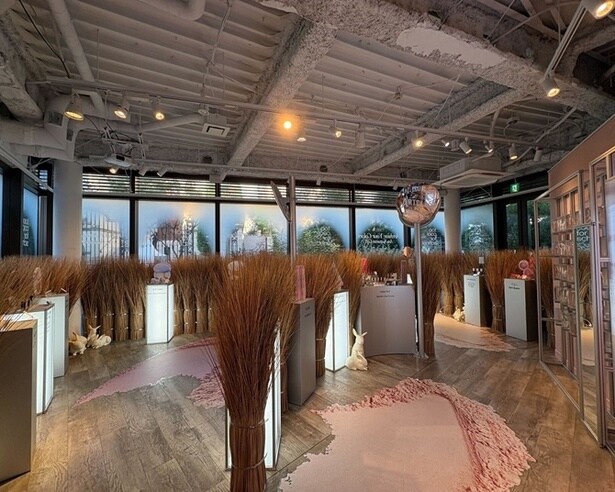 入ると一面にtoo cool for schoolの世界観が