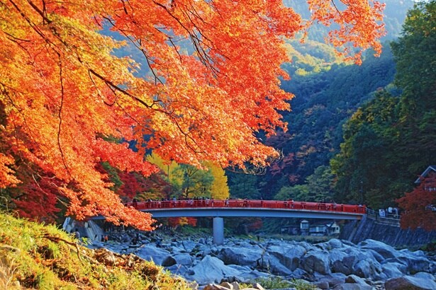 香嵐渓・足助で紅葉狩り＆秋グルメを食べ歩き！東海トップクラスの秋景色を堪能しよう