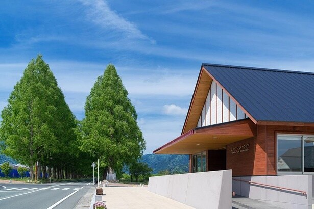 並木カフェ メタセコイア 外観