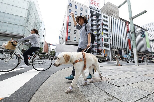 候補犬も生徒も初めての場所で、1キロちょっとの距離を30〜40分かけて歩くことが最終試験となる