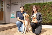 国産盲導犬第1号を育成した「アイメイト協会」70年の歩み。人と犬が支え合うやさしい社会を目指して