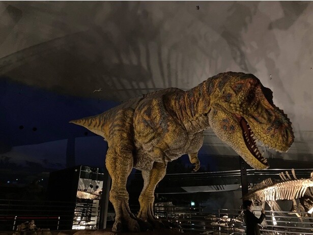 夜ならではの演出で臨場感が一段と高まる