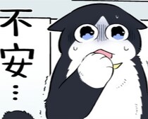 猫になって人生大逆転!?「ブラック企業社員」から「猫」へ華麗な転身！奇想天外ストーリーだが猫の魅力は無限大【作者に聞く】