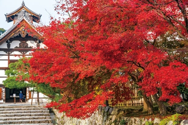 天龍寺(天龍寺庫裏)/京都市左京区