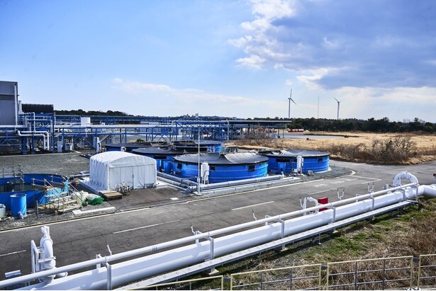 【写真】緑浜工場にある知多クールサーモンの水槽