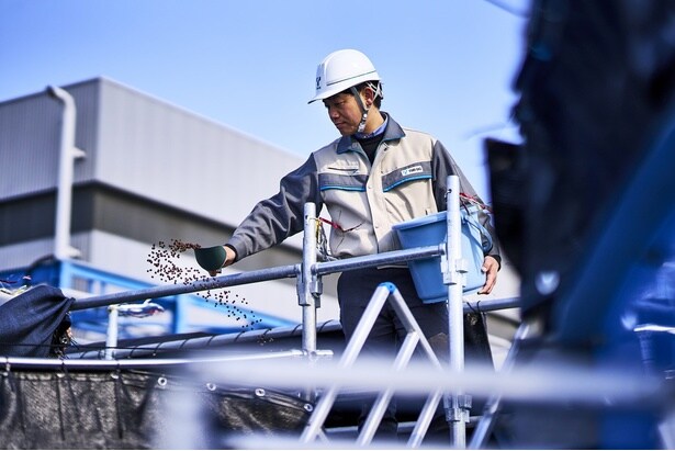 水質保全のため、餌も食べられる分だけを与える