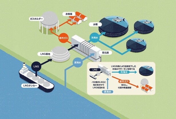 海水を使ってLNG気化器でLNGを気化し、その冷却水を水槽へ