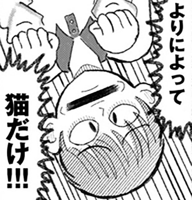 「猫、飼いたいよーう!!」まさかこの僕が…!?信じたくない！猫を飼うと決めていたのに重度の猫アレルギーに【著者に聞く】