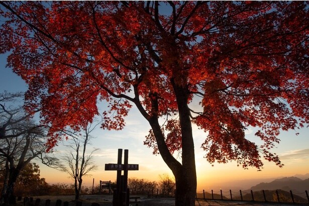 見渡す限りの紅葉が続く/軽井沢(旧碓氷峠見晴台)の紅葉