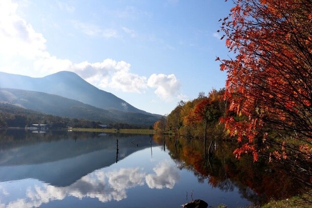 湖畔からはフォトジェニックな風景を眺められる/白樺高原(蓼科山)の紅葉