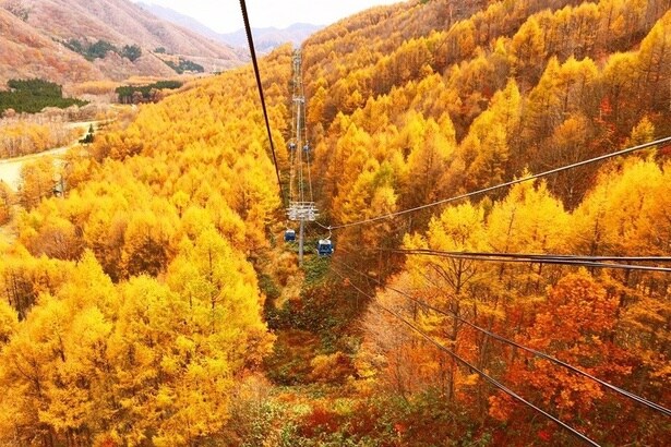 今週末(10月25・26日)の紅葉見頃はここ!まもなく見頃を迎えそうな全国の紅葉名所ガイド