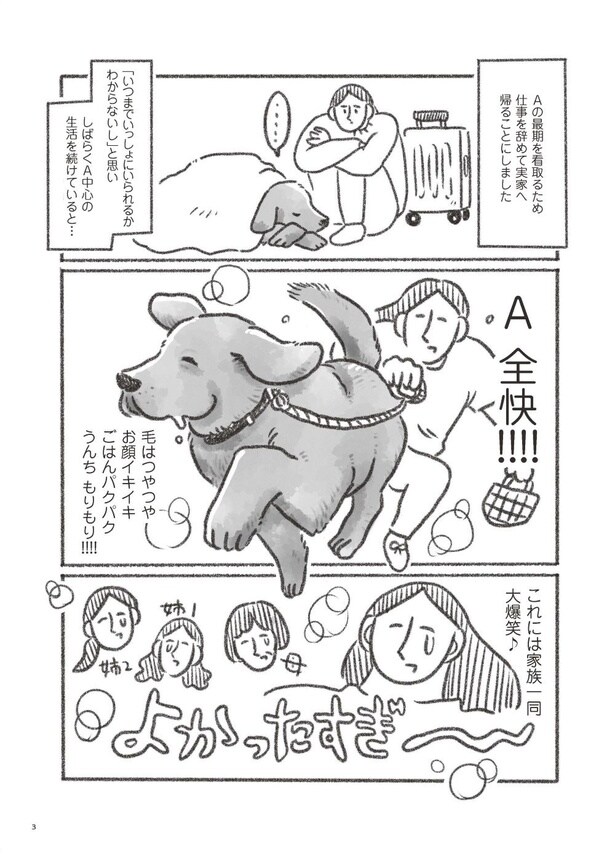 老犬とつづ井　はじめに(2)