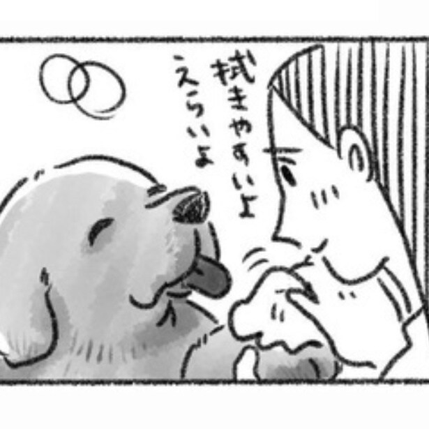 愛犬の先が短いと知り仕事を辞めて老犬を介護「私にできることは全部させてもらえた」と語る“別れ”の形【著者に聞いた】