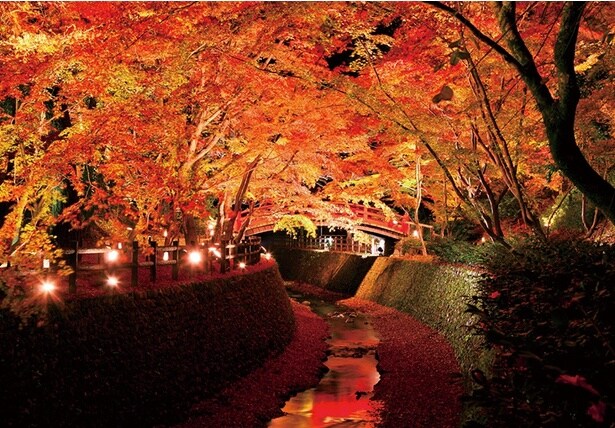 【京都・北野天満宮】史跡をおおう紅葉のトンネルが見事！おすすめの時間帯や立ち寄りスポットも紹介