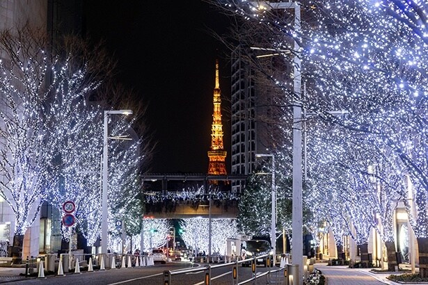 「Roppongi Hills Christmas 2025」が11月4日からスタート!イルミネーションやクリスマスマーケットなどコンテンツ盛りだくさん