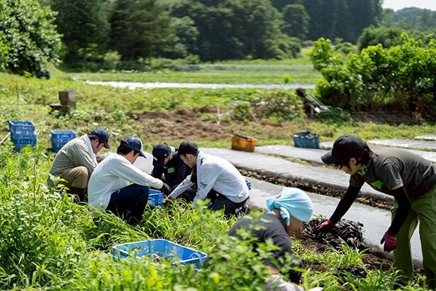 【写真】体を動かして里山の基礎しごとを体験