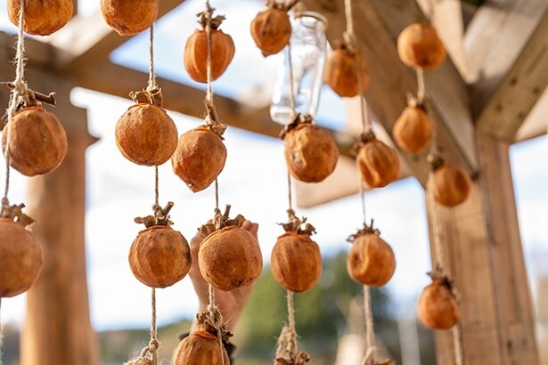 薬草乾燥や干し柿作りの手仕事