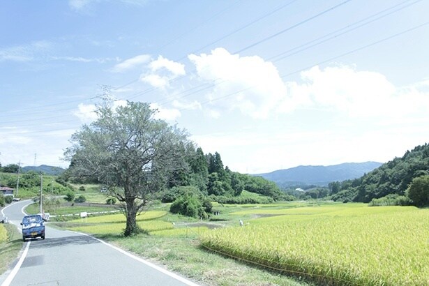 1組限定で宿泊可能