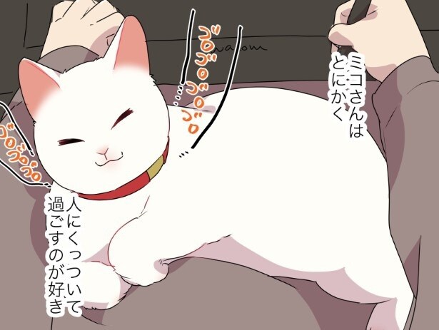 なんだかんだ猫の思い通りになってしまう話_P01