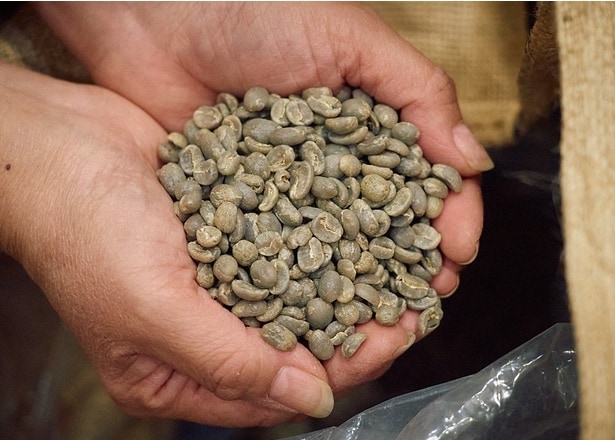 ハンドピックは生豆の状態、焙煎後にも行い、不良豆を徹底的に排除