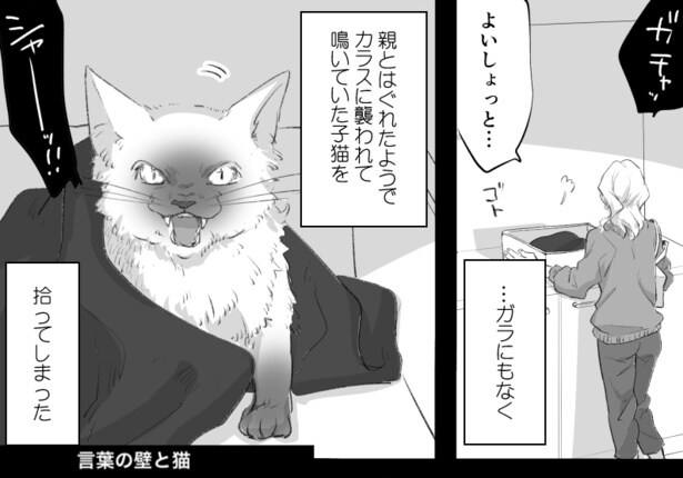 言葉の壁と猫(1)