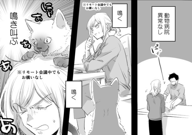 言葉の壁と猫(2)