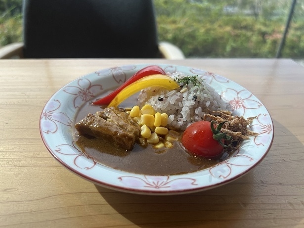 正解はわからないが、とりあえず自分で盛り付けた「富士山カレー」