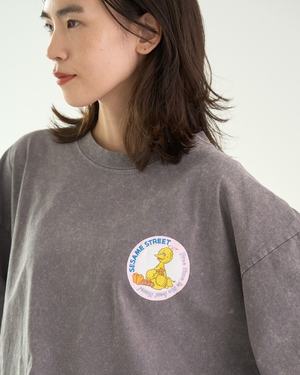 「ビッグバード/T」(3490円)